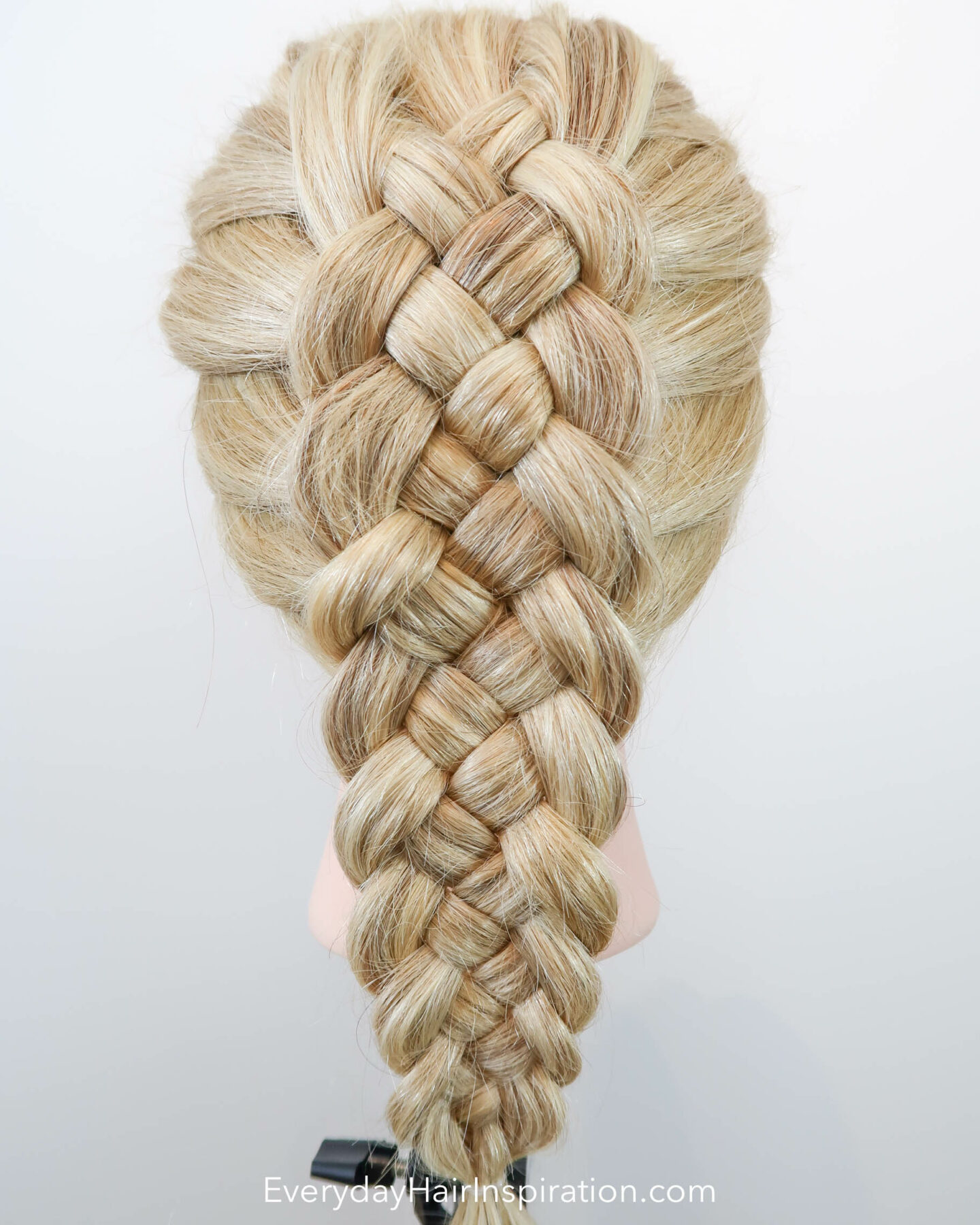 Dutch 5 Strand Braid Everyday Hair Inspiration 5 Strand Braid 